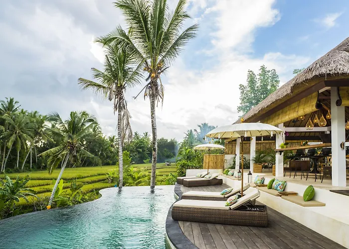 Hotel Calma & - Rice Fields View, Infinity Pool ! 4*