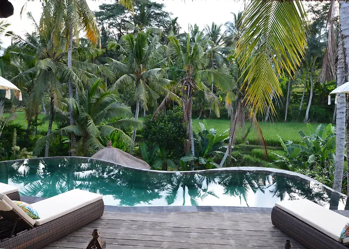Calma & - Rice Fields View, Infinity Pool ! ホテル ウブド
