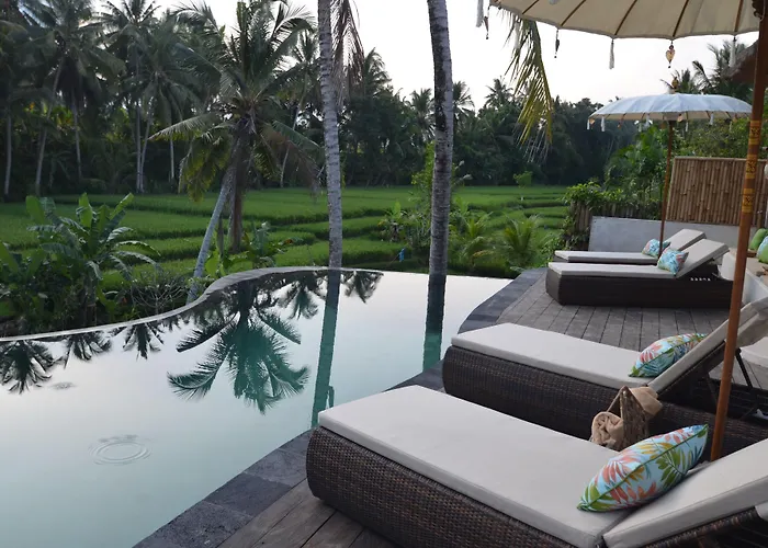 Calma & - Rice Fields View, Infinity Pool ! 4*