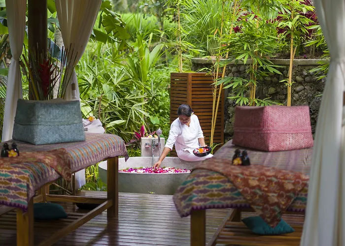Hotel Calma & - Rice Fields View, Infinity Pool ! Ubud