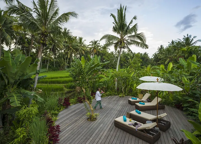 Calma & - Rice Fields View, Infinity Pool !