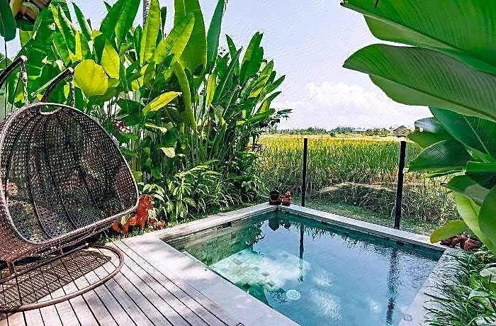 Calma & - Rice Fields View, Infinity Pool !