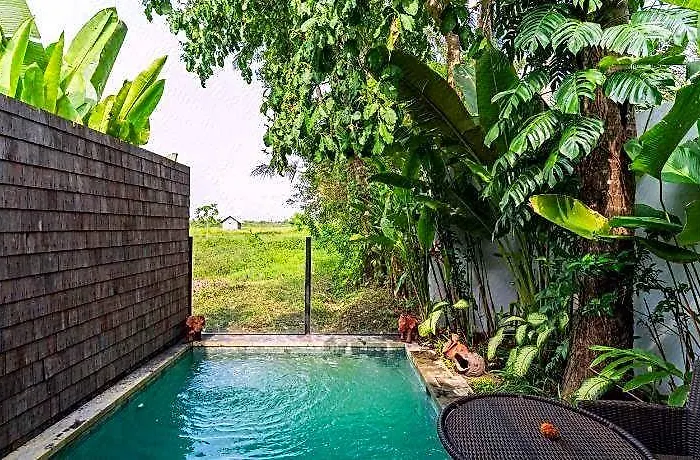 Отель Calma & - Rice Fields View, Infinity Pool !
